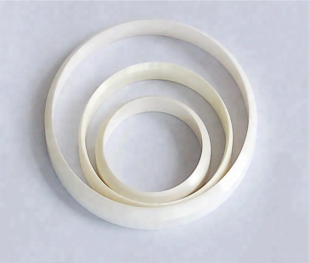 د APM چاپ - د پیډ پرنټر لپاره 100*90*12mm سیرامیک حلقه نور 1