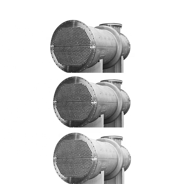 Cristallizzatore evaporatore personalizzato per l'industria alimentare | Produttore Zhanghua 8