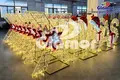 GLAMOR | Latest led motif supply 3