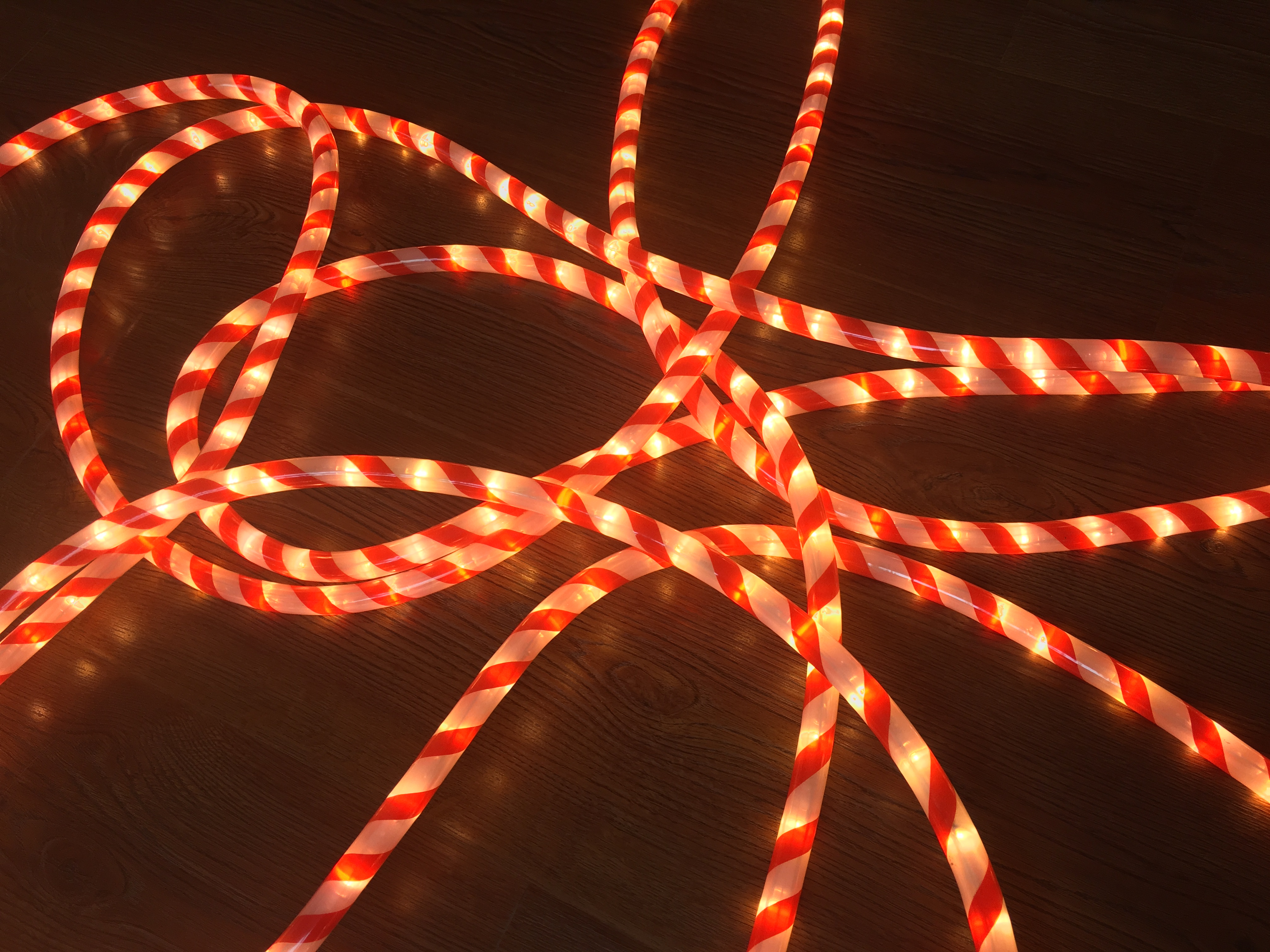 Dış mekan kullanımı su geçirmez spot dış mekan aydınlatma dekorasyon neon ışıklar noel dekoru Üretici | GLAMOR 5