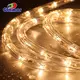High Quality IP65 LED Rope Lights - CE/ETL Approved 4