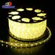 High Quality IP65 LED Rope Lights - CE/ETL Approved 6