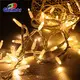 GLAMOR | Latest led Christmas lights outdoor factory 3