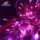 GLAMOR | Latest led Christmas lights outdoor factory 4