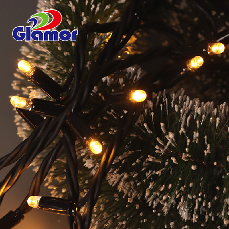 Dekoraasje WW Wyt kleur LED ljochtsnoer fee-kettingljocht Bêste profesjonele fabrikant bedriuw Glamour 15