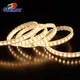 Custom multicolour led strip factory | GLAMOR 3