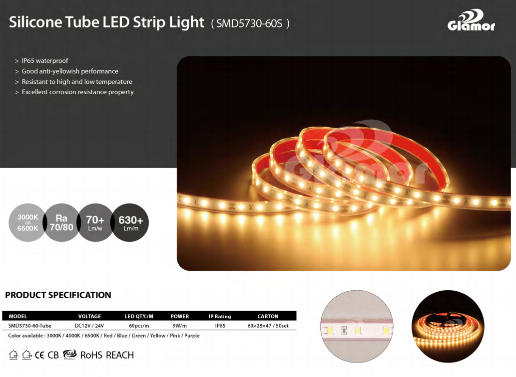 ਸਿਲੀਕੋਨ ਟਿਊਬ ਸੇਫ ਵੋਲਟੇਜ LED ਸਟ੍ਰਿਪ ਲਾਈਟ 5730-60 LEDs ਚੀਨ 19 ਸਾਲ ਫੈਕਟਰੀ 9