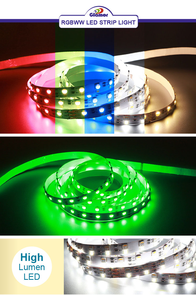 12V 24V Rainbow көп түстүү мыкты акылдуу LED тилкеси колдонмосу бар жарык, бөлмөнү же үйдү жасалгалоо үчүн башкарылган музыка, камсыздоо 10