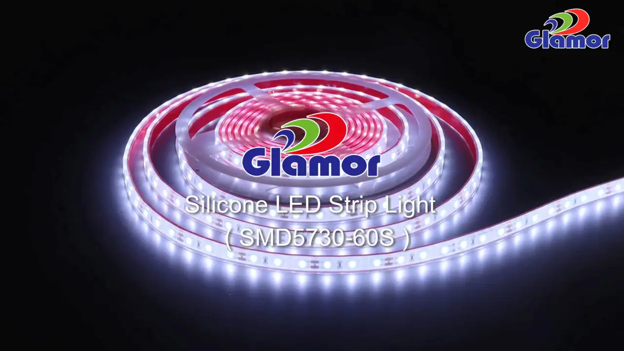 ʻOi aku ka maikaʻi o ka IP67 wai wai silicone LED strip SMD 5050 60 led/m 5m/10m GLAMOR mea hana mai ka makahiki 2003 1