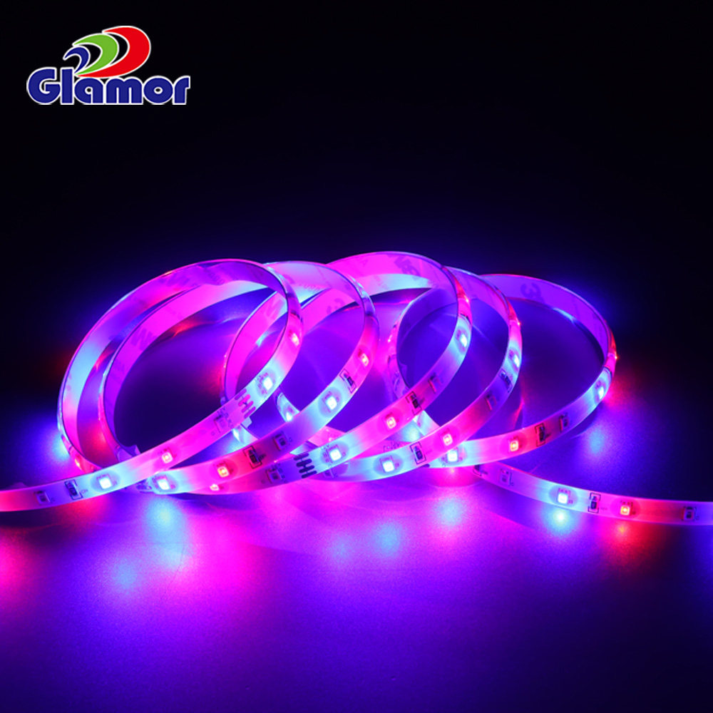 I-Led RGB Strip12V 24V I-Wholesale ye-IP44 ye-Led ehamba phambili yegumbi lokulala elingaphakathi noma ngaphandle 5