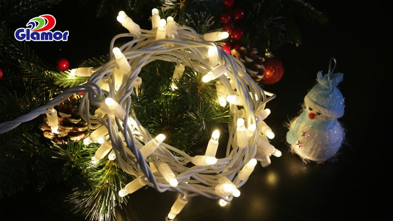 Profesiaj fabrikantoj de LED-ŝnuraj lumoj 2