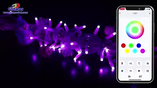 Professionella tillverkare av smarta RGB-ljusslingor med röststyrning 1