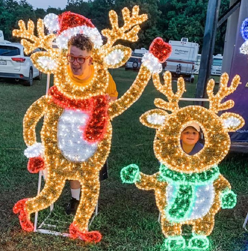  LED အလှဆင်မီးများ