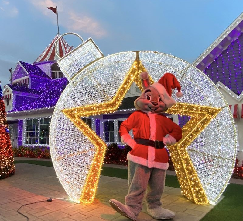  LED അലങ്കാര ലൈറ്റുകൾ