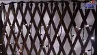 GLAMOR Best Dual Color Curtain Light - Factory Price 1