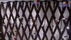 Top rainbow Christmas lights factory | GLAMOR 1