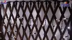 GLAMOR | High-quality wall string lights company 1