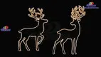 High-quality Christmas motif lights factory | GLAMOR 1