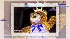 Wholesale outdoor Christmas lights motif suppliers | GLAMOR 1