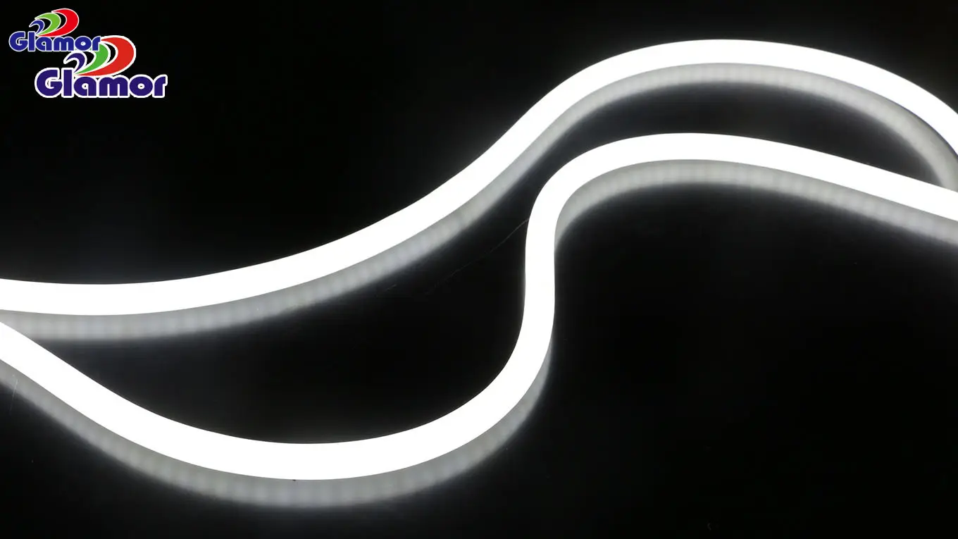 Latest led neon flex company | GLAMOR 1