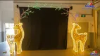 High-quality christmas lights outside manufacturers | GLAMOR 1