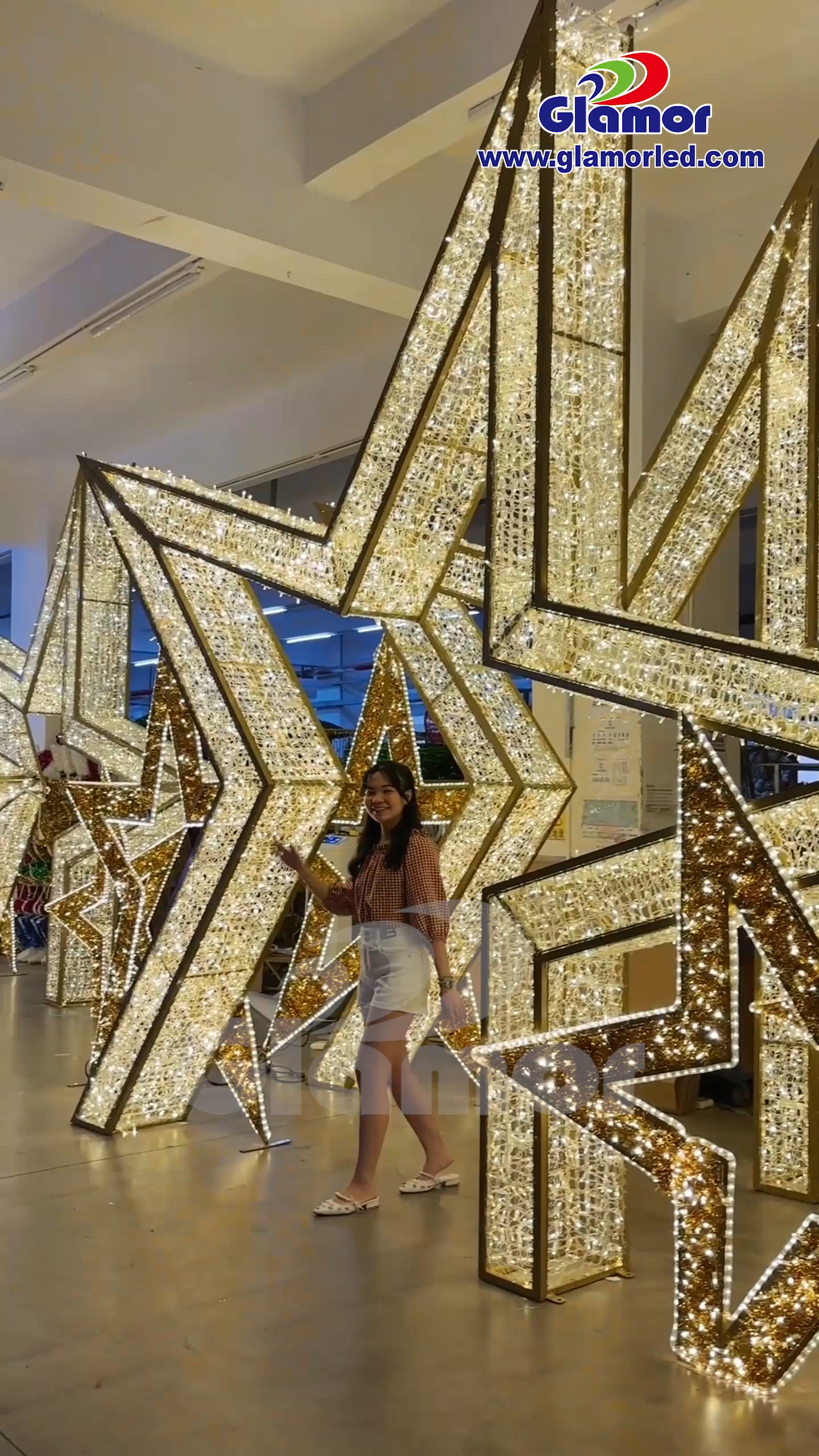 Ghirlanda natalizia a LED con motivo luminoso, colore bianco caldo, stella grande 3D, IP65, impermeabile, con rete in PVC | Fornitore glamour 2