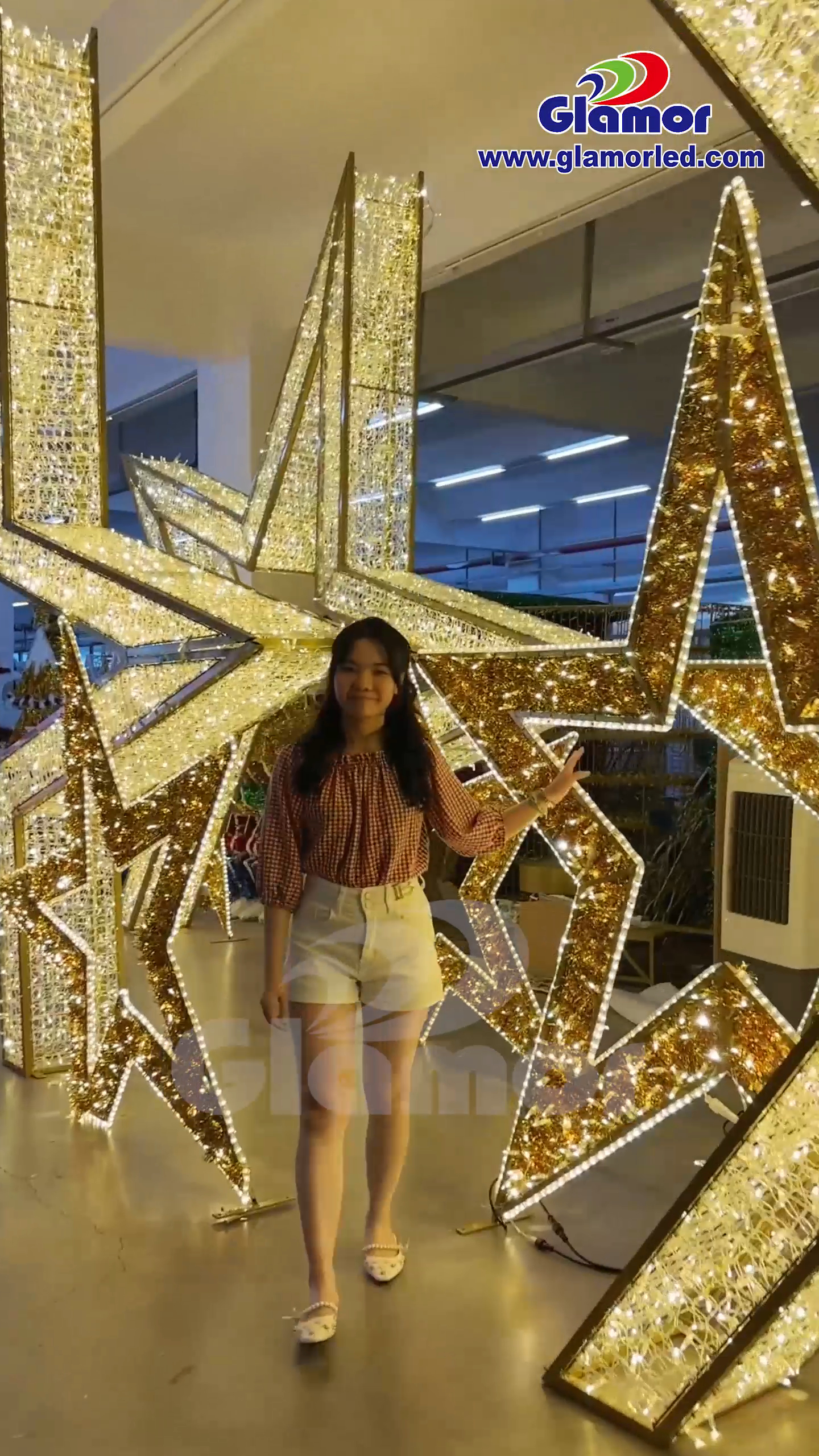 Ghirlanda natalizia a LED con motivo luminoso, colore bianco caldo, stella grande 3D, IP65, impermeabile, con rete in PVC | Fornitore glamour 3