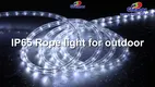 High Quality IP65 LED Rope Lights - CE/ETL Approved 1