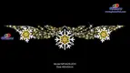 Dynamic LED Outdoor Christmas Motifs by Glamor 1