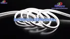 LED Neon Flex Lights: Certified, Customizable, High Quality 1