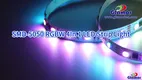 RGBW SMD LED Strip Lights 24V 5m 4 in 1, China Manufacturer | GLAMOR 1