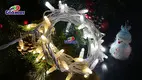 Dual Color Crystal Waterproof LED String Lights 1