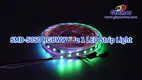 Glamor RGBWW SMD Strip Light - 24V 5m 5-in-1 5050 LED 1