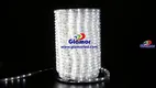 GLAMOR LED Rope Light: Flashing Bulb, 2-Year Warranty 1