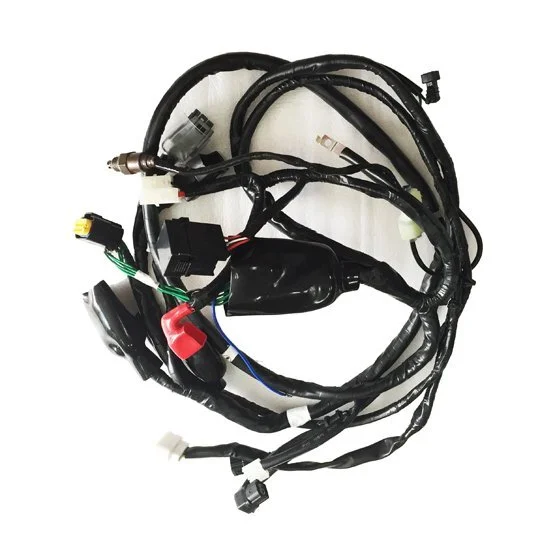 Spacy100cc Motorcycle Wire Harness 1