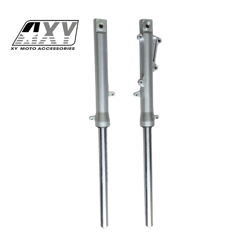 Motorcycle Front Fork 1