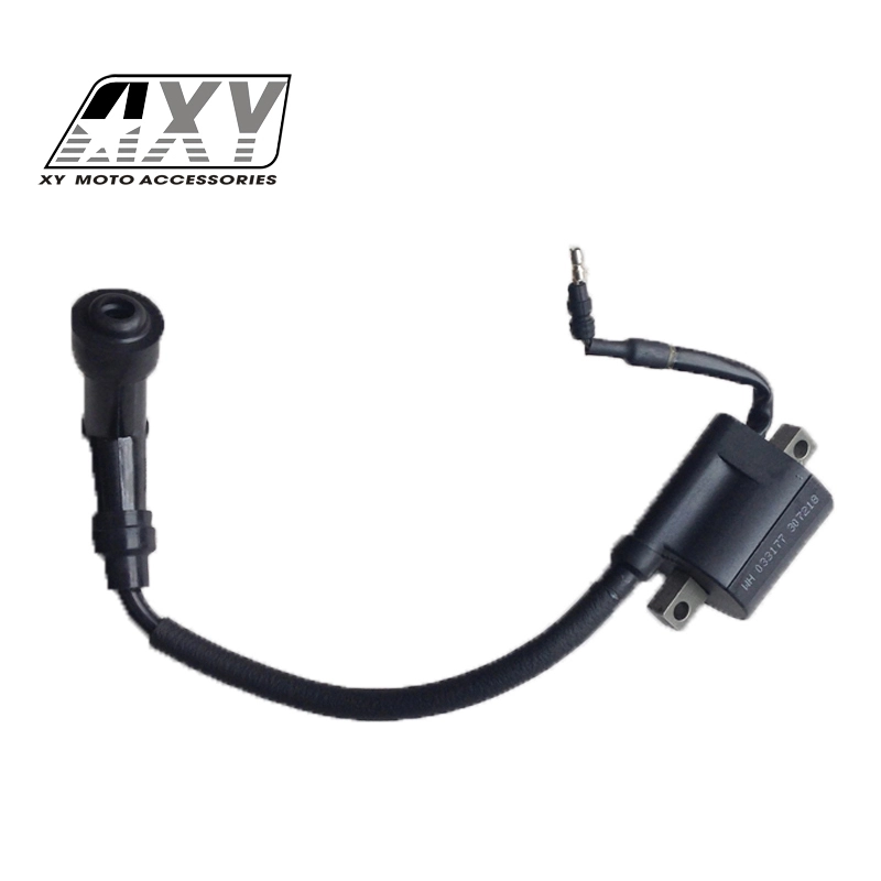 Ignition Coil Assy 1