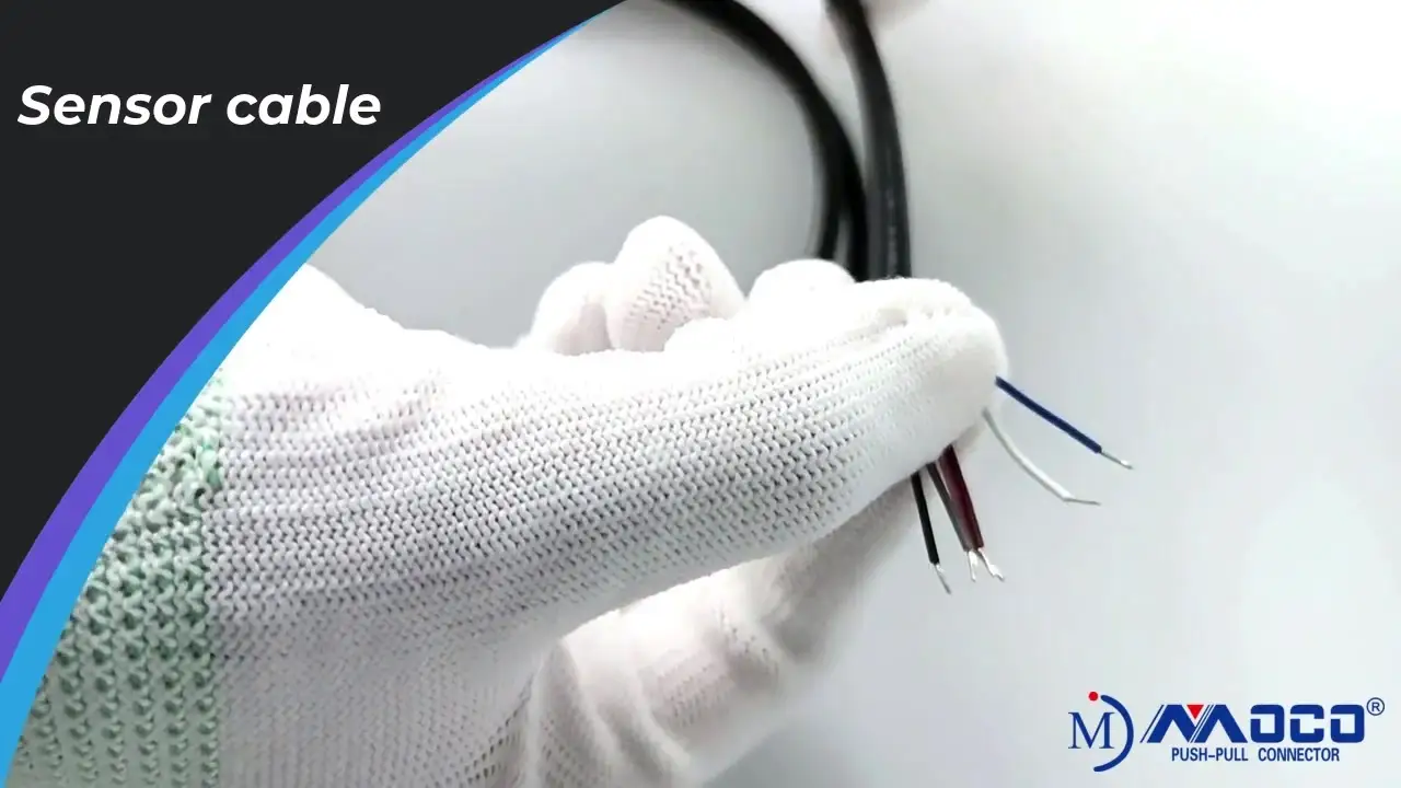 Kabel czujnikowy PVC M8 6-pinowy męski 26 AWG 1