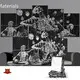 Application Acoustic Panels for Media Room Company 1