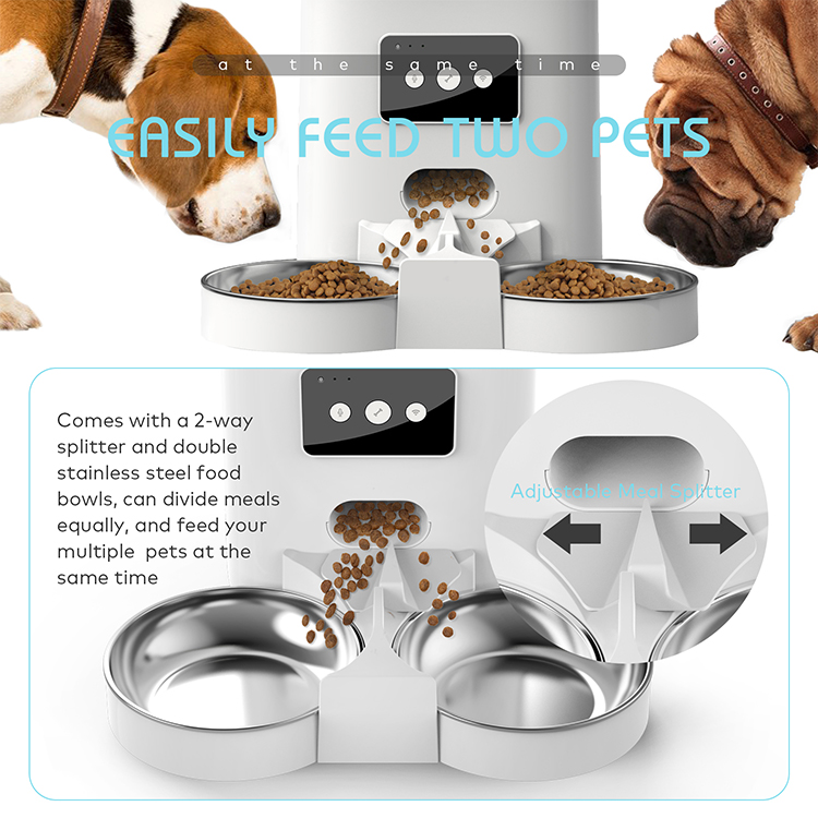 Customized pet WIFI automatic double bowls for two dogs feeder manufacturers From China | Roadreign 12