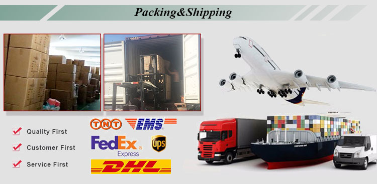 ROADREIGN - Hot Selling Plastic Pet Food Dispensing Automatic Slow Feeder Dog Tumbler Toys Pet Toys 22