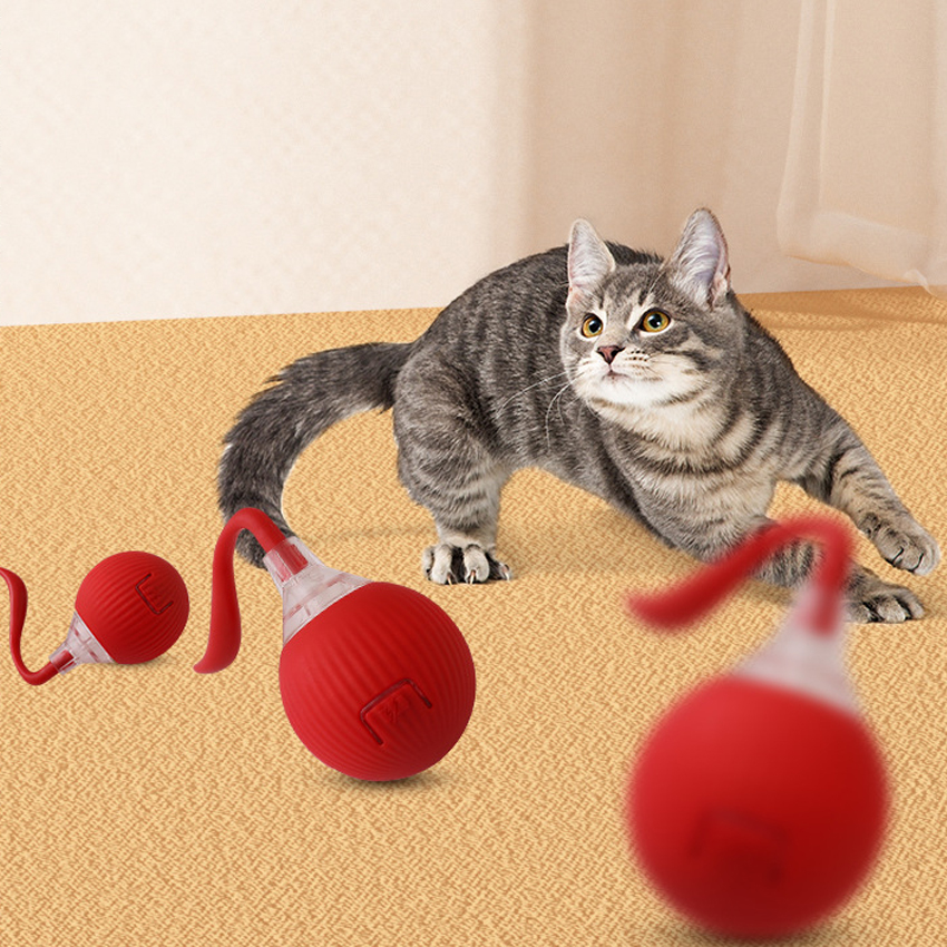 Pelota interactiva para gatos, juguete interactivo para masticar perros y gatos, de plástico ecológico, divertida y autorodante, recargable por USB. 1