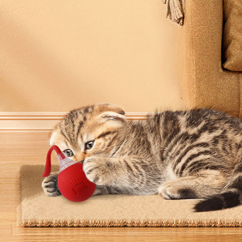Pelota interactiva para gatos, juguete interactivo para masticar perros y gatos, de plástico ecológico, divertida y autorodante, recargable por USB. 2