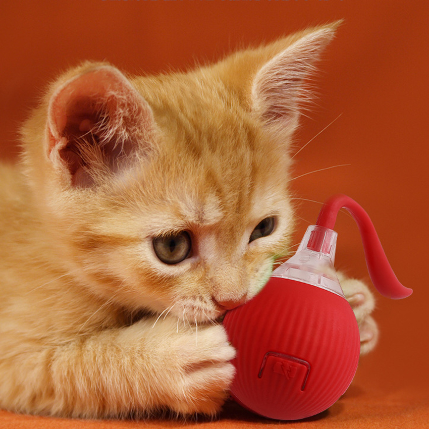 USB Rechargeable Smart Pet Funny Self Rolling Ball Eco-Friendly Plastic Dog Teaser Chew Toy Interactive Cat Toy Ball 13