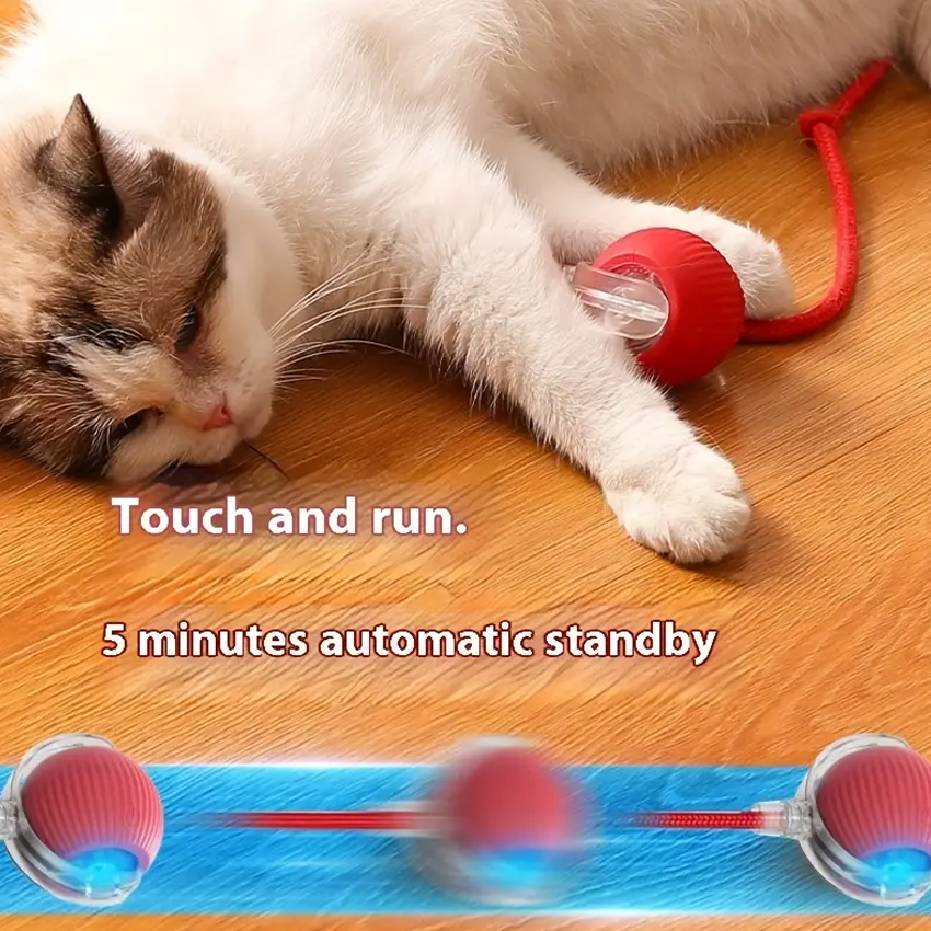 Interactive Self-Rolling Cat Toy Ball Electric Charging Pet Toy Rechargeable Plastic Cat Playing Ball Toys 3