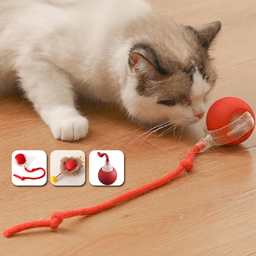 Interactive Self-Rolling Cat Toy Ball Electric Charging Pet Toy Rechargeable Plastic Cat Playing Ball Toys 2