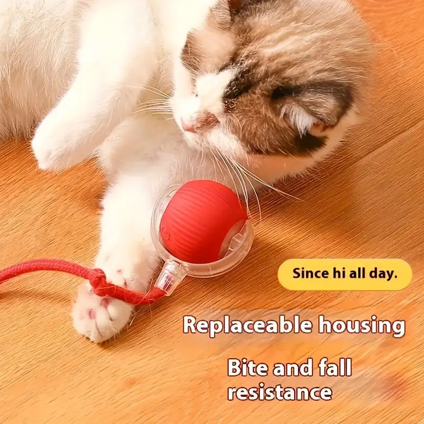 Interactive Self-Rolling Cat Toy Ball Electric Charging Pet Toy Rechargeable Plastic Cat Playing Ball Toys 4
