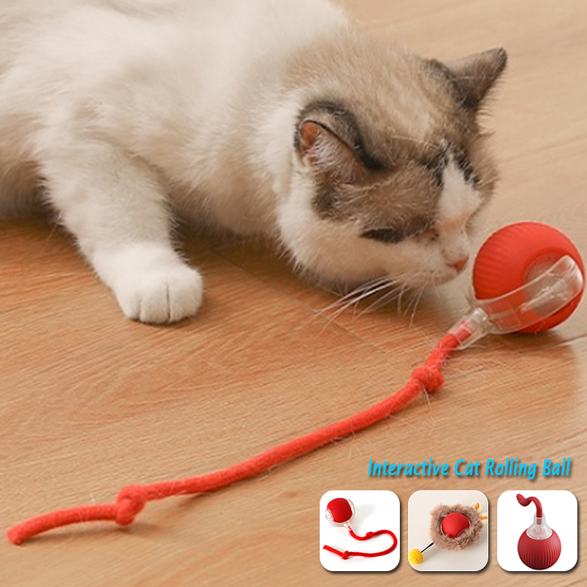 Interactive Self-Rolling Cat Toy Ball Electric Charging Pet Toy Rechargeable Plastic Cat Playing Ball Toys 11