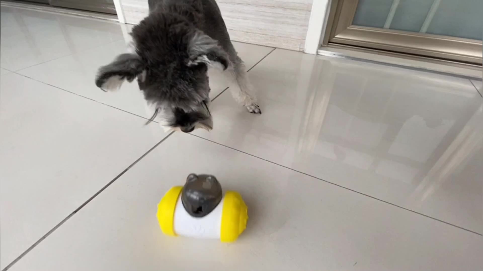 ROADREIGN - Venta al por mayor de comederos lentos para perros, pelotas interactivas de plástico, juguetes para mascotas 2