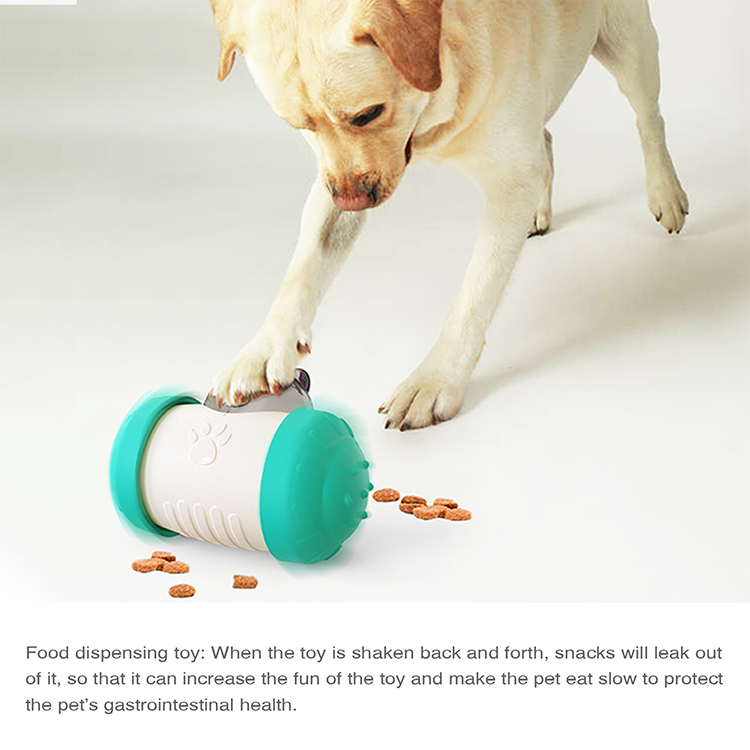 ROADREIGN - Venta al por mayor de comederos lentos para perros, pelotas interactivas de plástico, juguetes para mascotas 6